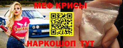 стафф Камышлов