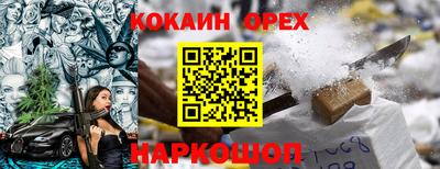 стафф Камышлов