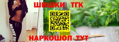 стафф Камышлов