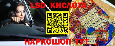 стафф Камышлов