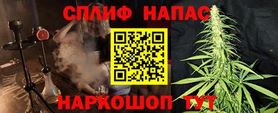 стафф Камышлов