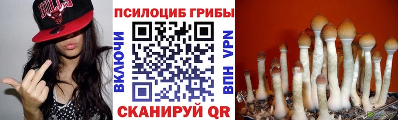 Галлюциногенные грибы прущие грибы Новоалтайск